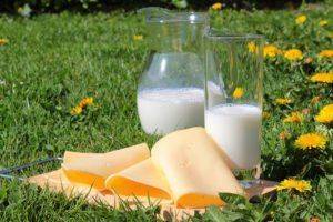 Молочные продукты на траве