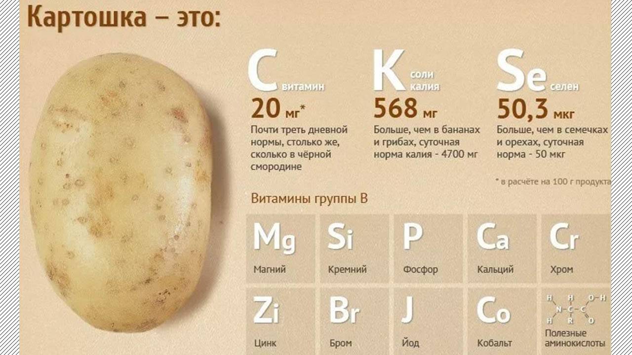 Польза картофеля сырого, вареного, жареного и печеного, состав и возможный вред