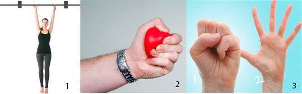 Проверенные упражнения для кистей рук: комплекс из 5 движений с эспандером, гантелями и не только