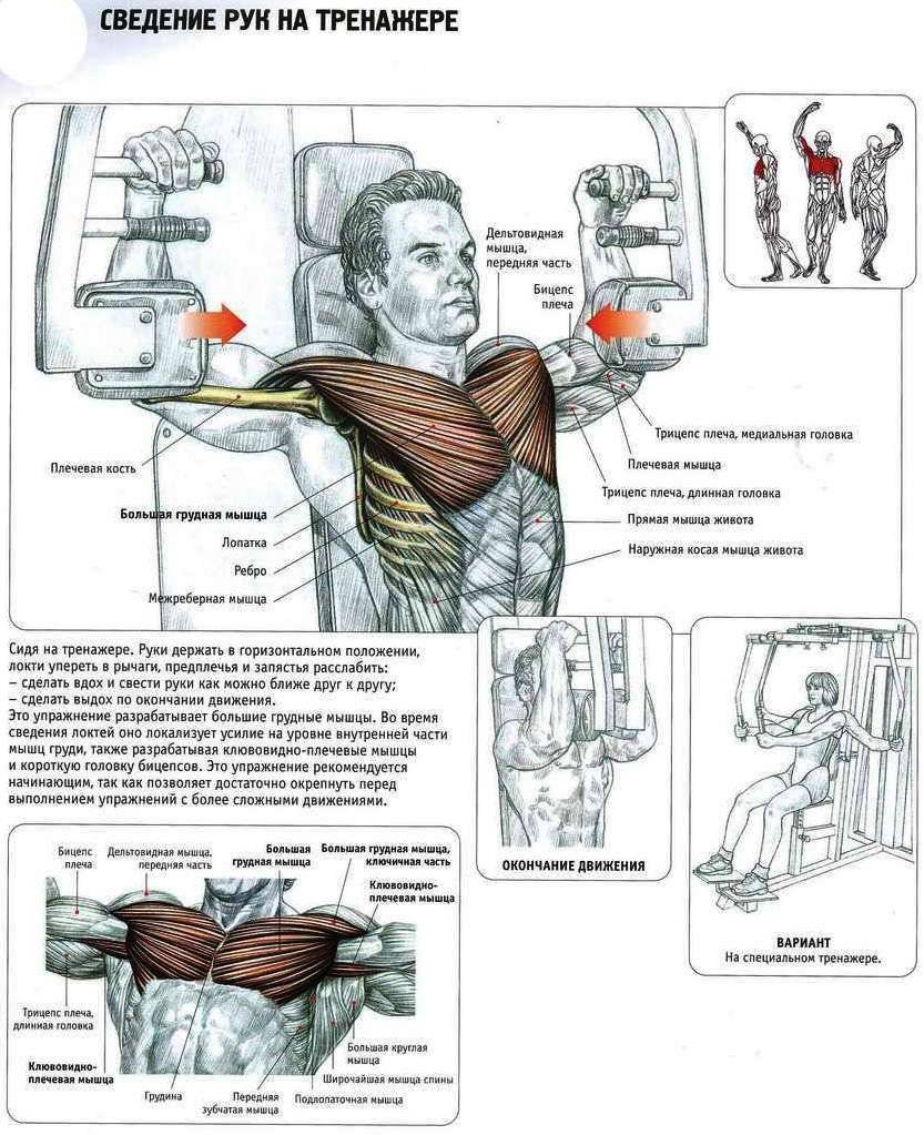 Упражнения для грудных мышц для мужчин