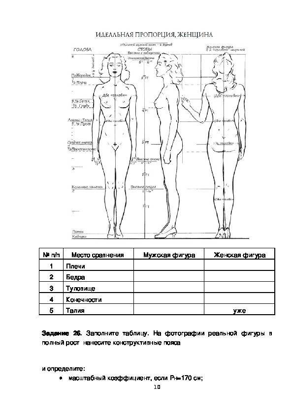 Идеальные пропорции тела человека