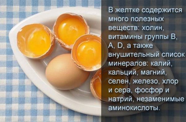 Egg guru — первый про яйца. яйца вкрутую: состав, полезные свойства, возможный вред