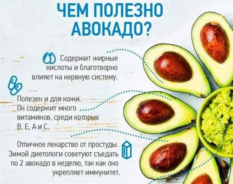 Полезные свойства авокадо для организма, как его употреблять
