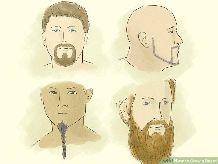 Во сколько лет начинает расти борода?