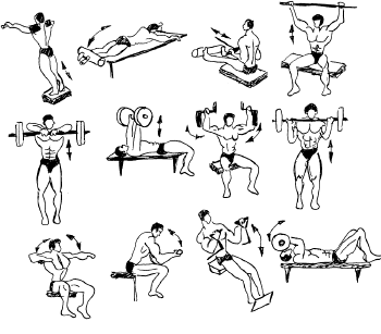 Силовая гимнастика: описание, комплекс упражнений и рекомендации