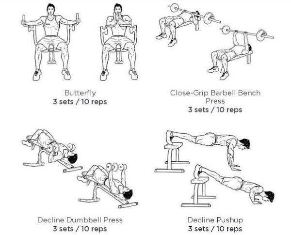 5 программ тренировок для наращивания массы грудных мышц