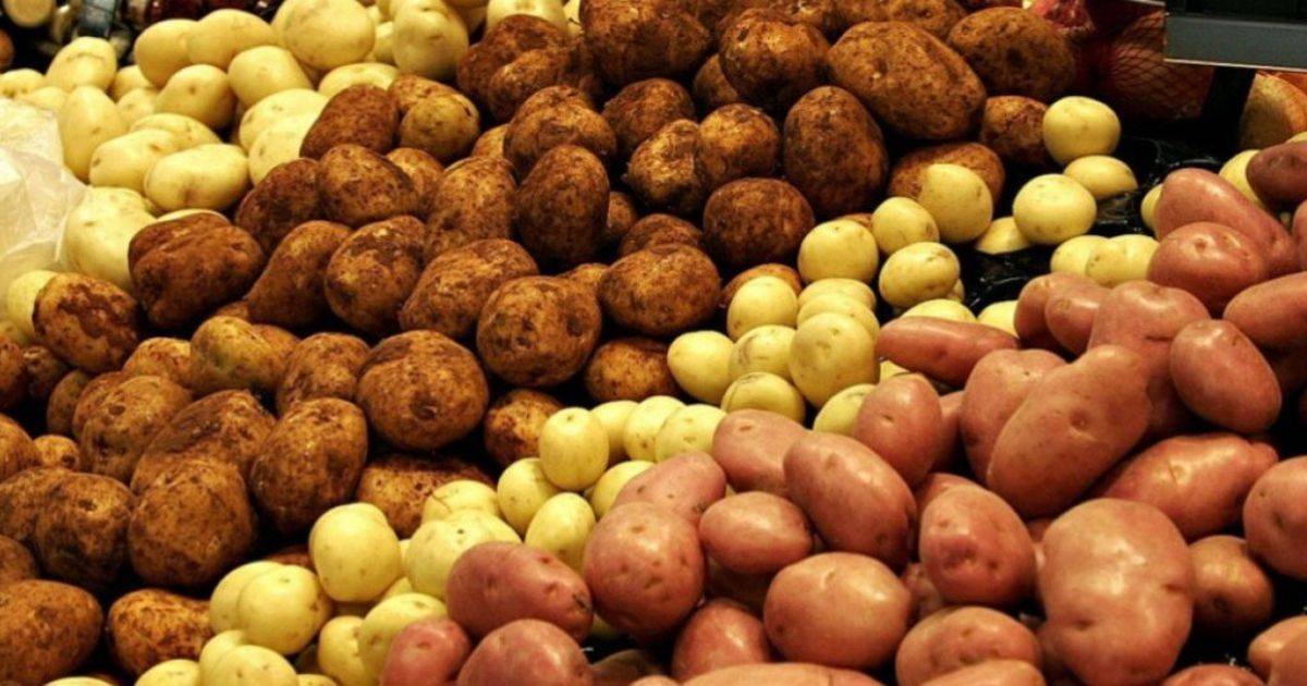 Польза и вред жареной картошки | польза и вред