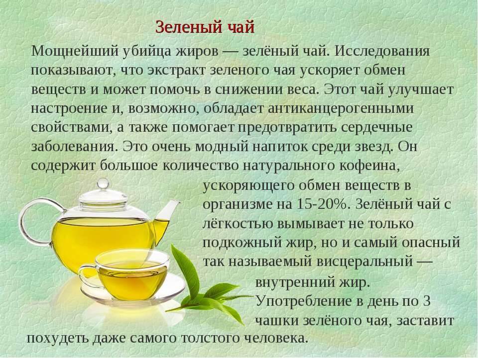 Зеленый чай. стройность в каждой чашке