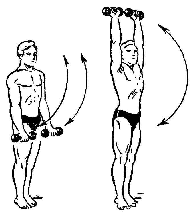Упражнения с гантелями для мужчин и женщин