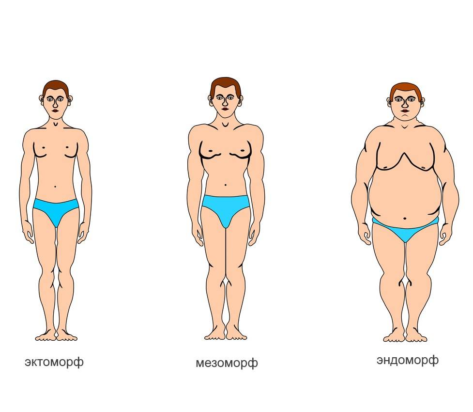 Типы женских фигур | как определить тип фигуры по параметрам