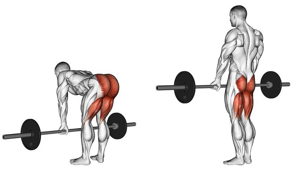 Становая тяга — техника. базовые упражнения для мышц