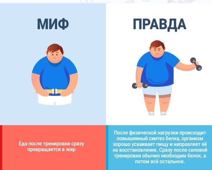 Правильное питание: 10 главных мифов о здоровом образе жизни | vogue russia