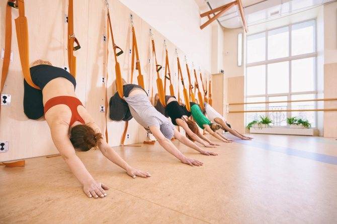 Основные асаны для начинающих — 30 поз йоги для новичков