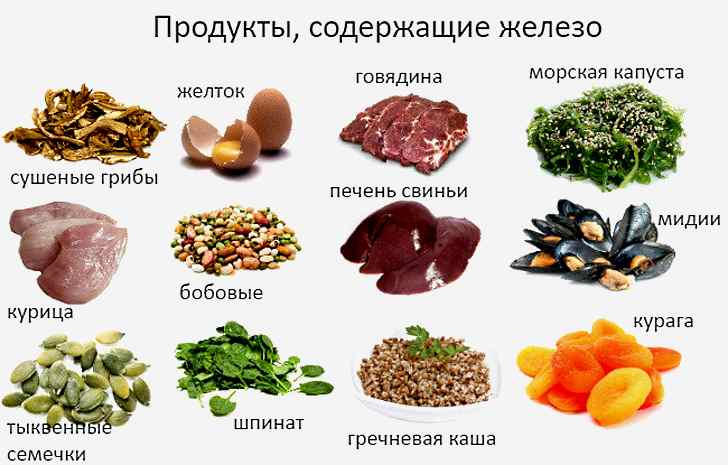 В каких продуктах больше всего железа?