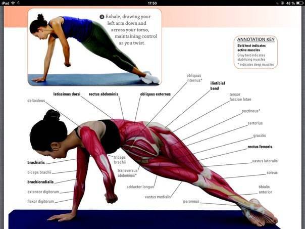 Планка – упражнение для укрепления мышц всего тела