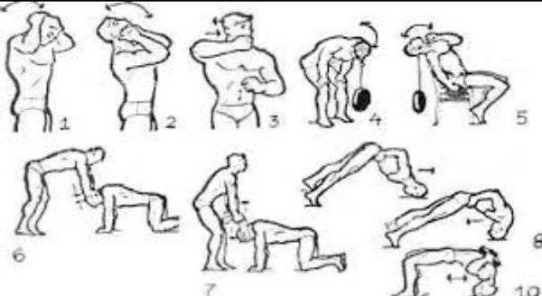 Гимнастика для шеи - десять лучших упражнений
