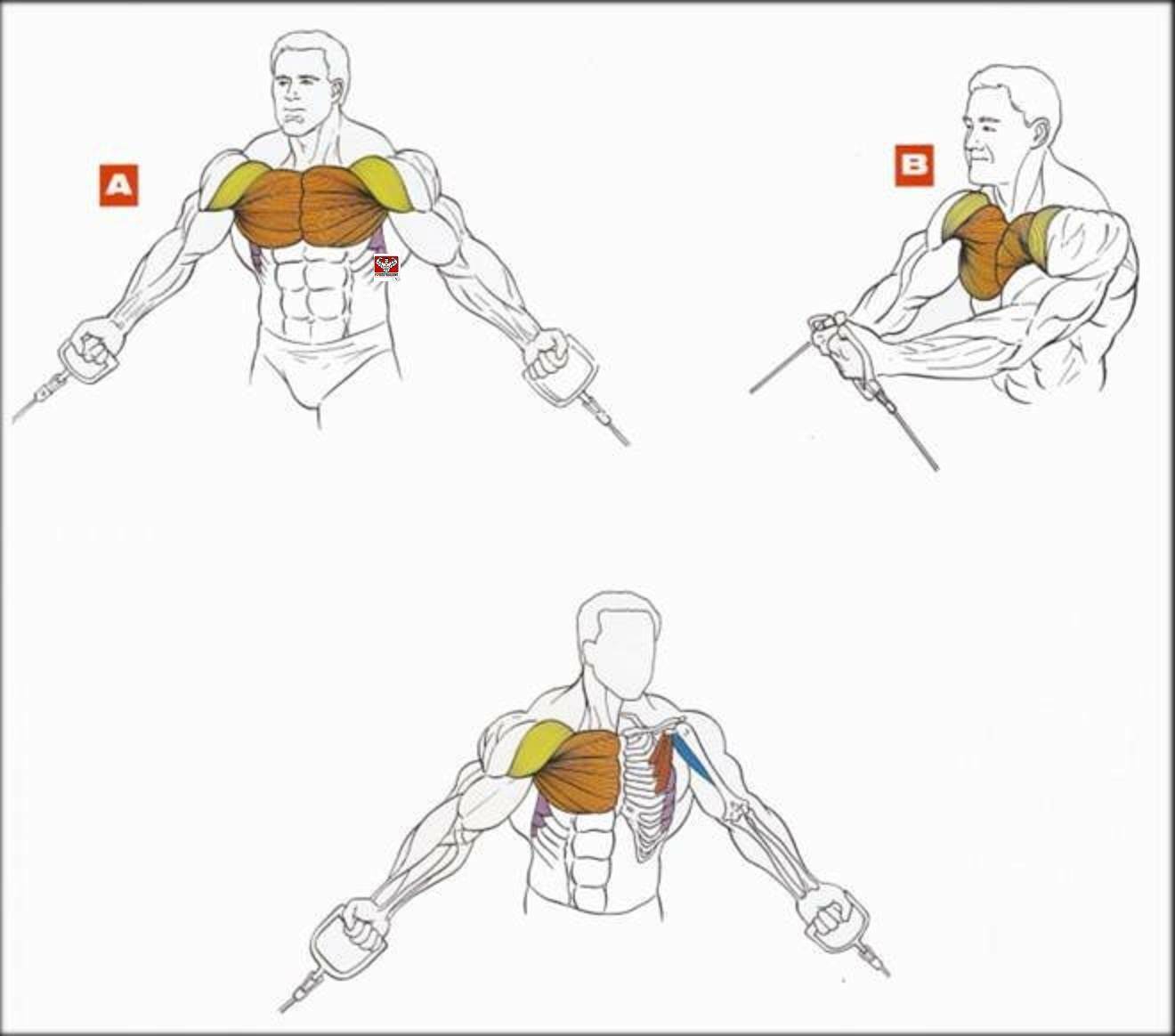 Как накачать мышцы без гантелей, тренажеров, железа, тренажерного зала, штанг и весов