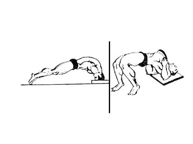 Упражнения для развития мышц шеи