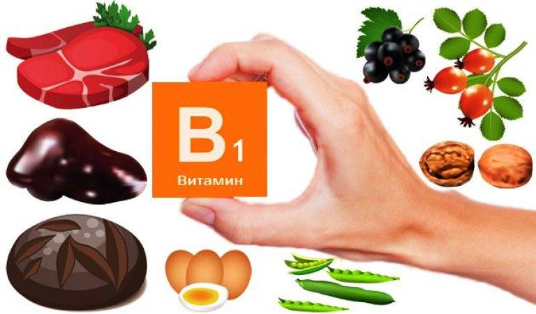 Витамин b1, продукты содержащие витамин, роль и значение, дозировка, недостаток и переизбыток тиамина