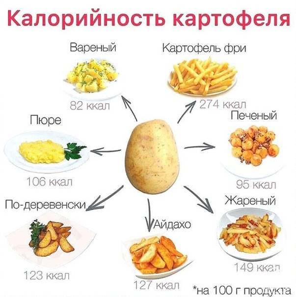 Сколько калорий в картошке (пюре, вареной, жареной) на 100 грамм