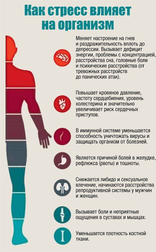 Хронический стресс повреждает мозг, но с этим можно бороться - hi-news.ru