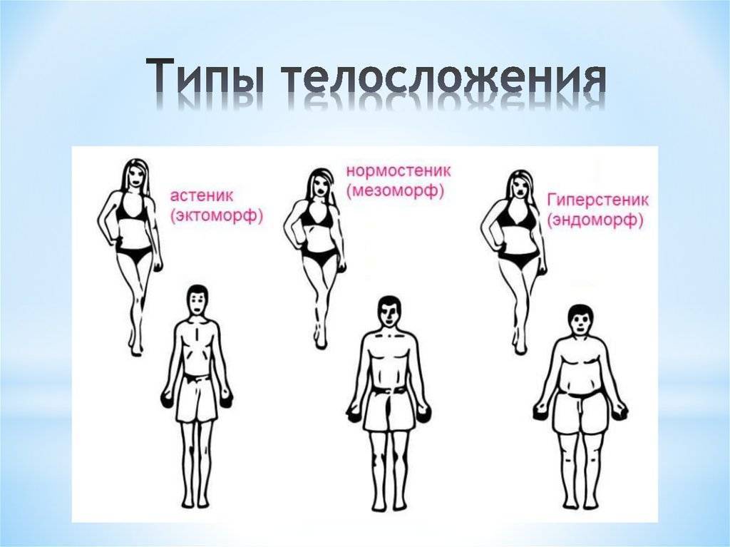 Женское телосложение: эктоморфы, мезоморфы, эндоморфы