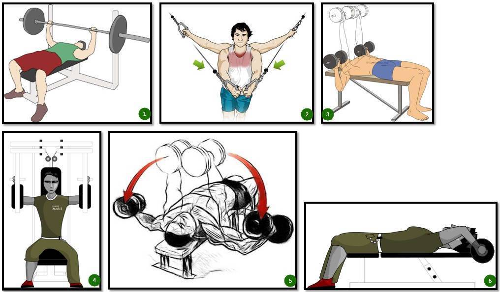 10 лучших упражнений на грудные мышцы в тренажерном зале