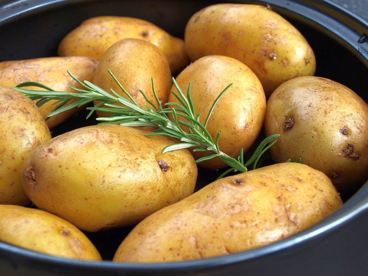 Жареная картошка — польза и вред