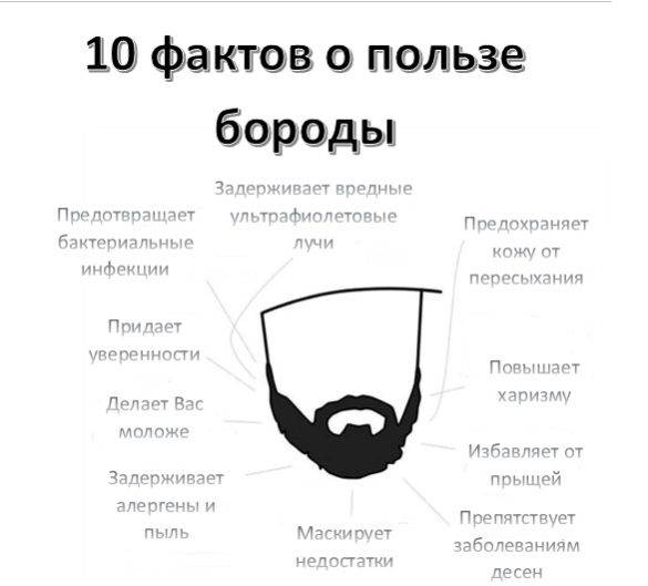 Михаил ломоносов — гимн бороде: стих