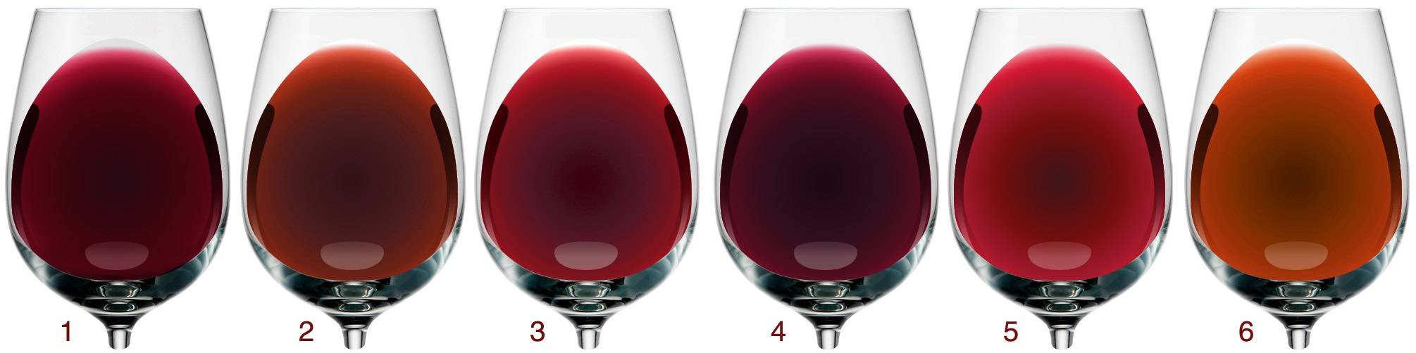 Учимся выбирать хорошее вино — 10 советов