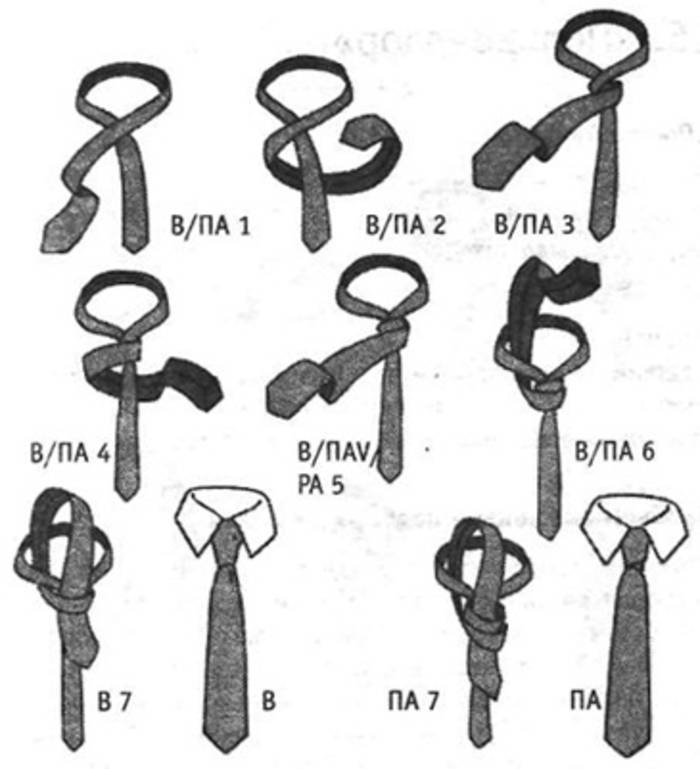 Как завязать галстук пошагово разными способами: схемы с фото