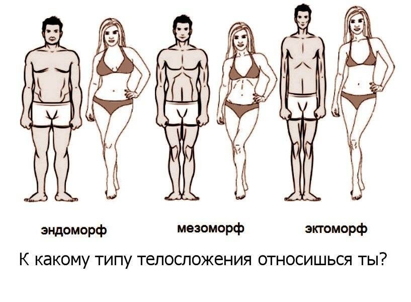 3 типа телосложения у женщин: нормостеническое, астеническое, гиперстенический