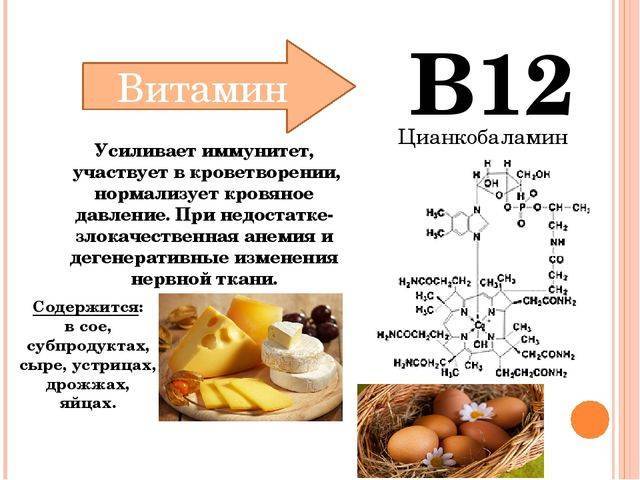 Применение витамина б12 в бодибилдинге