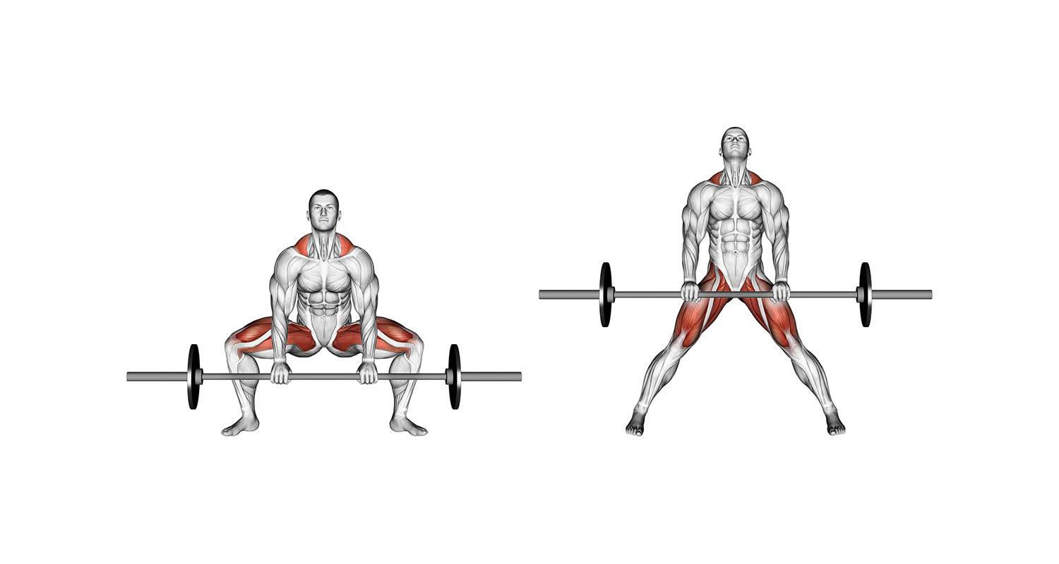 Становая тяга сумо: техника выполнения и какие мышцы работают