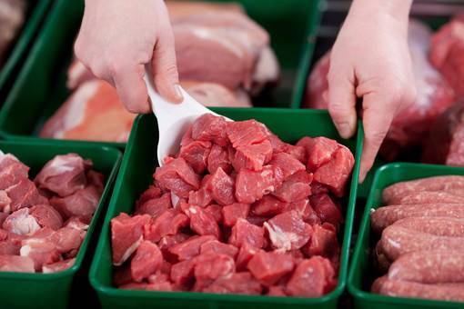 Вред вегетарианства – чем опасен отказ от мяса: мнение врачей