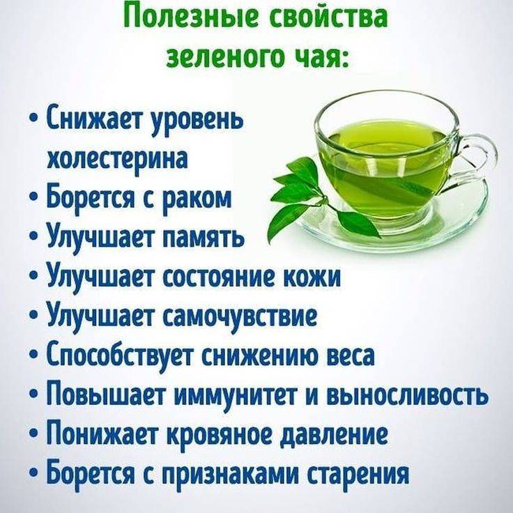 Зеленый чай для похудения: польза и вред, отзывы худеющих и рецепты