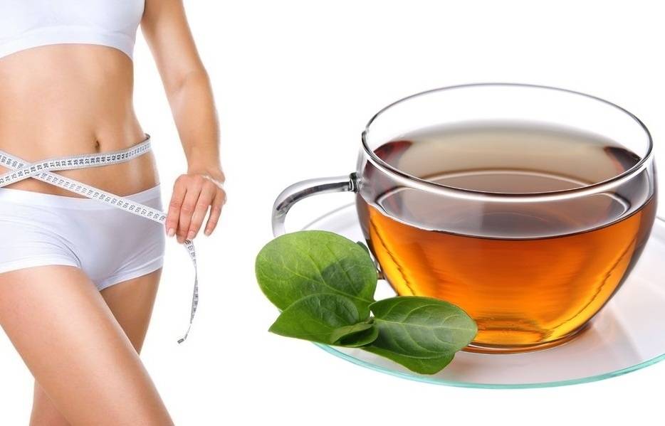 Как похудеть с помощью зеленого чая и терять вес естественным образом?