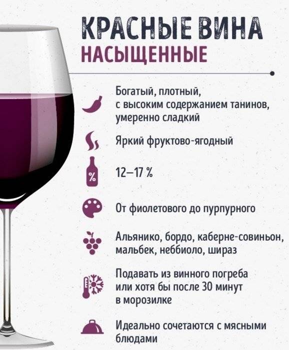 Рейтинг красных сухих вин: какую лучше марку выбрать и как это сделать