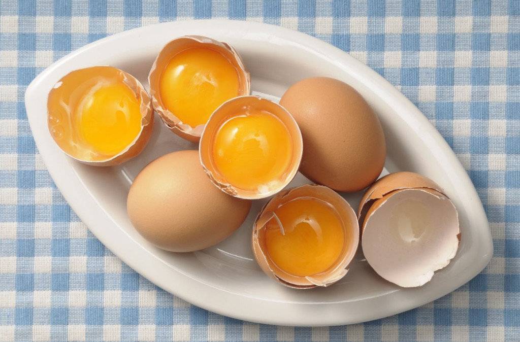 Яйца в бодибилдинге