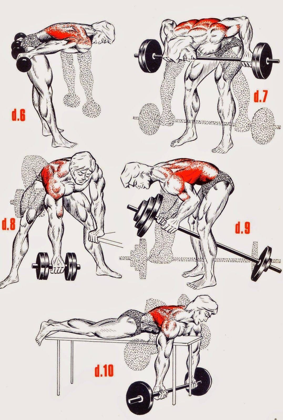Как накачать «крылья»: самые эффективные упражнения для мышц спины