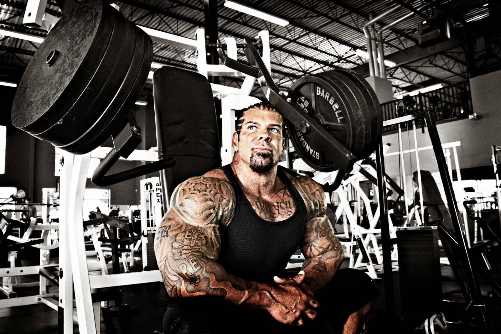 Pictures of rich piana