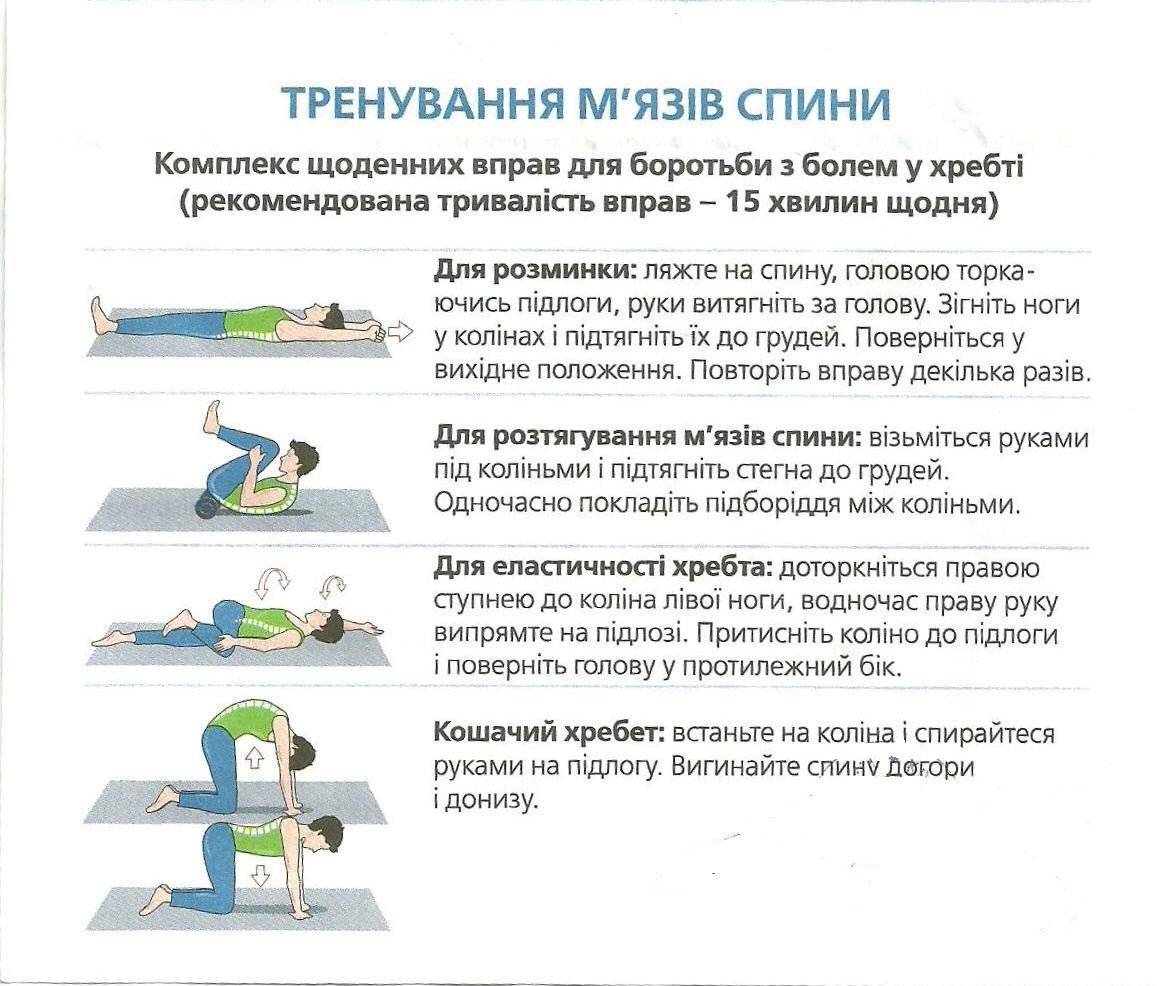 Упражнения от боли в пояснице — как укрепить низ спины? домашние тренировки