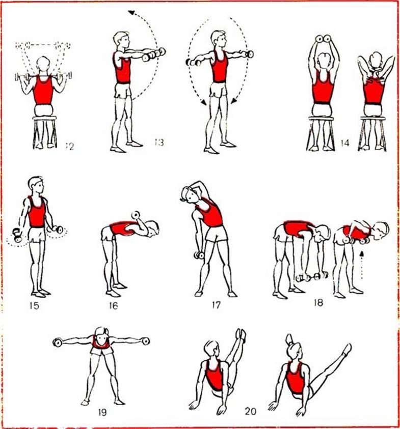 Упражнения с гантелями для мужчин и женщин