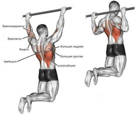 7 видов подтягиваний для широкой и мощной спины