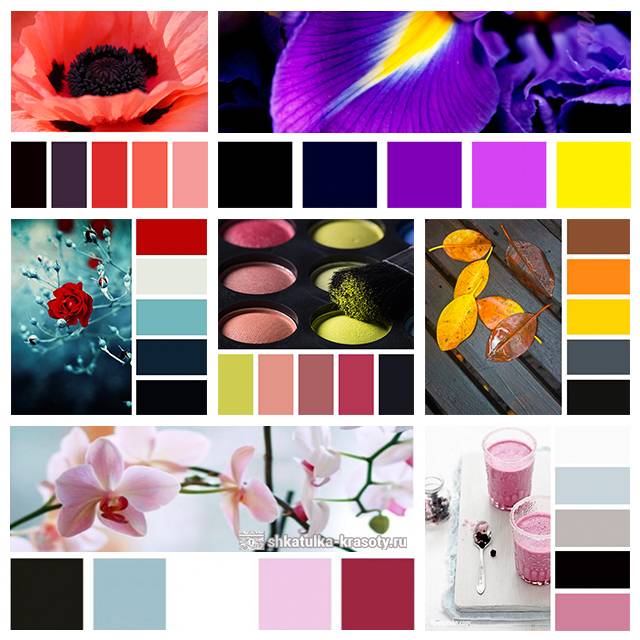 Сочетание цветов в интерьере: 30 фото идей + таблица совместимости