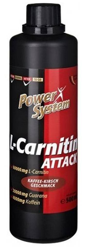 Жиросжигатель l-carnitine power system – выбор спортсменов