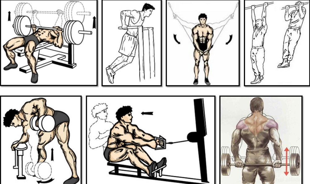 Как накачать мышцы дома