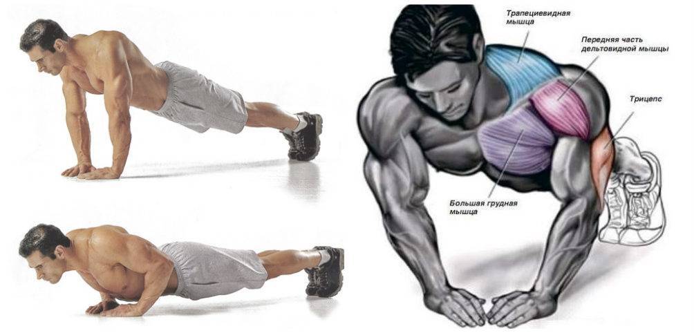 Эффективные упражнения на грудные мышцы дома