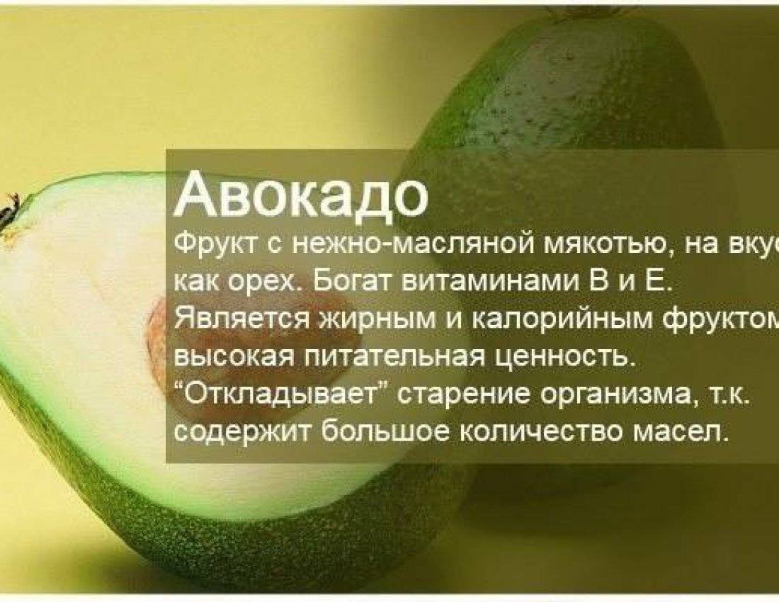 Полезные свойства и противопоказания авокадо