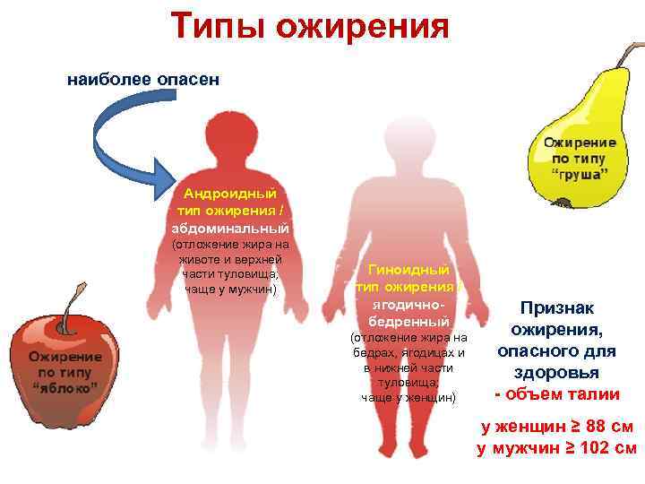 Дефицит массы тела: причины и лечение недостатка веса